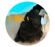 876924397