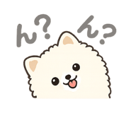 876924804