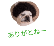 876928139