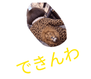 876928145