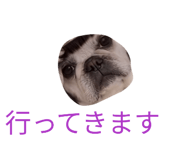 876928149