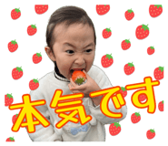 876928404