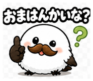876928430