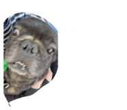 876932662