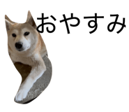 876932666