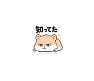 876933300