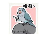876936657