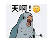 876936658