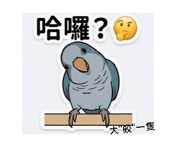 876936664