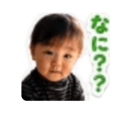 876943081