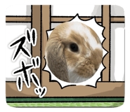 876947360