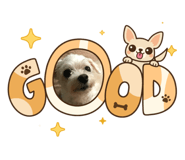 876949796