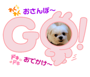 876950386