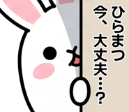 876953641