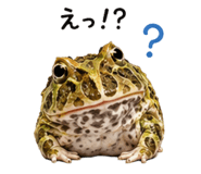 876970334