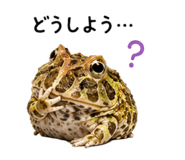 876970335
