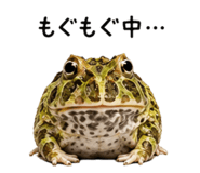 876970345