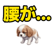 876972168