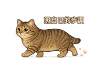 877006427