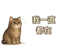 877006429
