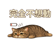 877006434