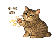 877006436