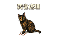 877007370