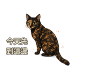 877007375