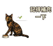 877007376