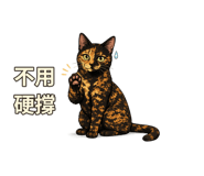 877007382