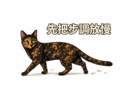 877007383