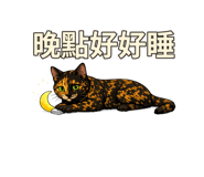 877007391