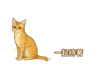 877007699