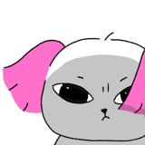 877008119