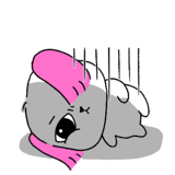 877008127