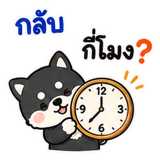 877011988