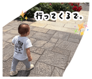 877012293