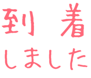 877012304