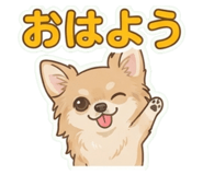 877035633