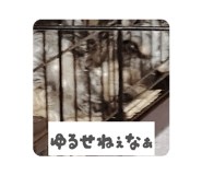 877035756