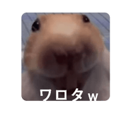 877035764