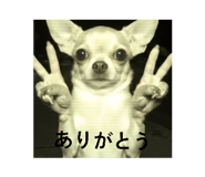 877035765