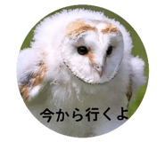 877035766