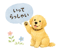 877035924