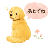 877035943