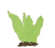 877037462