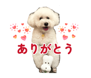 877037506