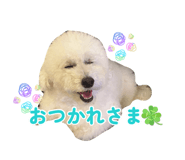 877037514