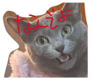 877037585