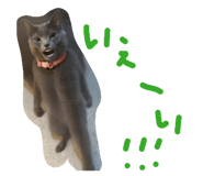 877037588